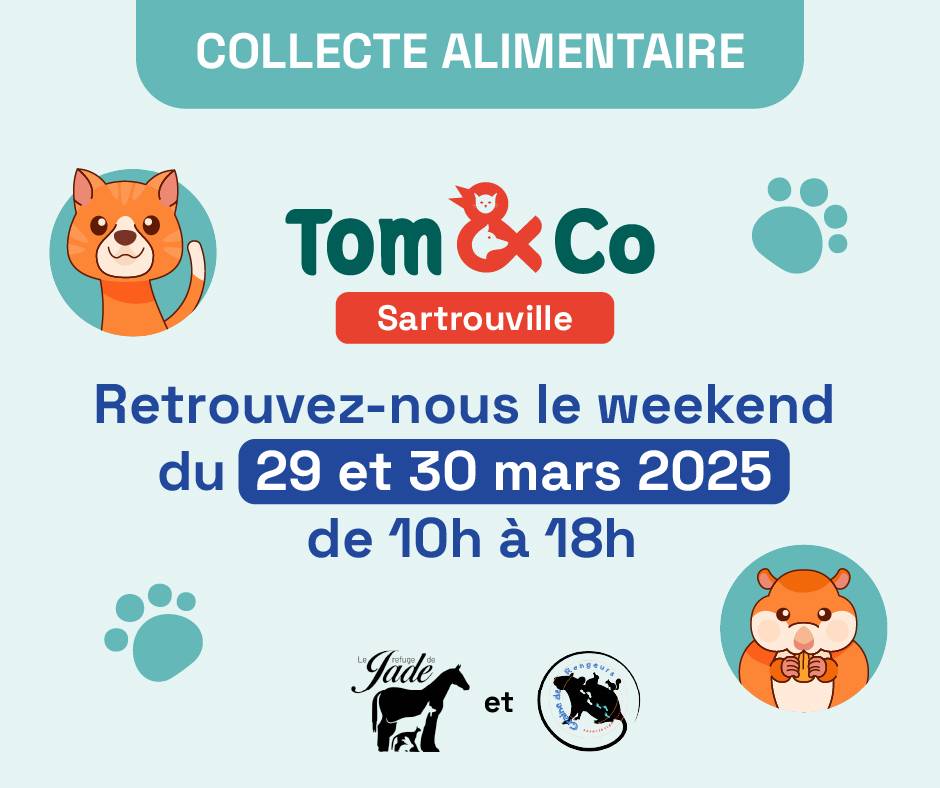Lire la suite à propos de l’article Collecte alimentaire Tom&Co (Sartrouville) Mars 2025