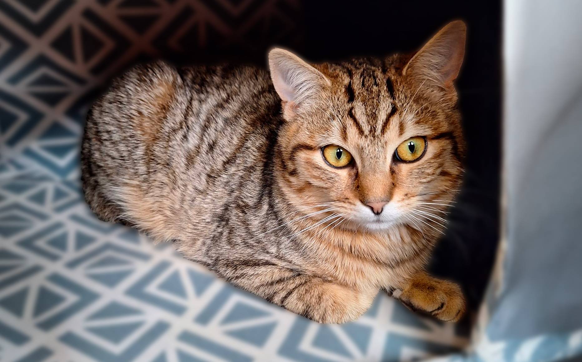 Rusty