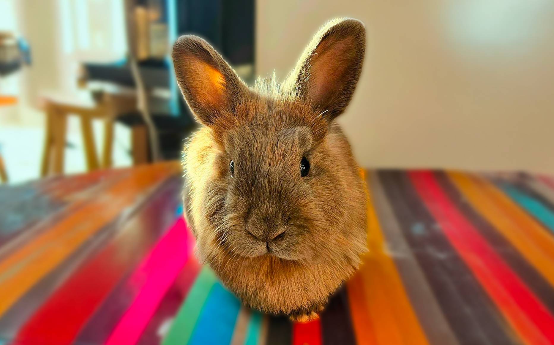Sirius