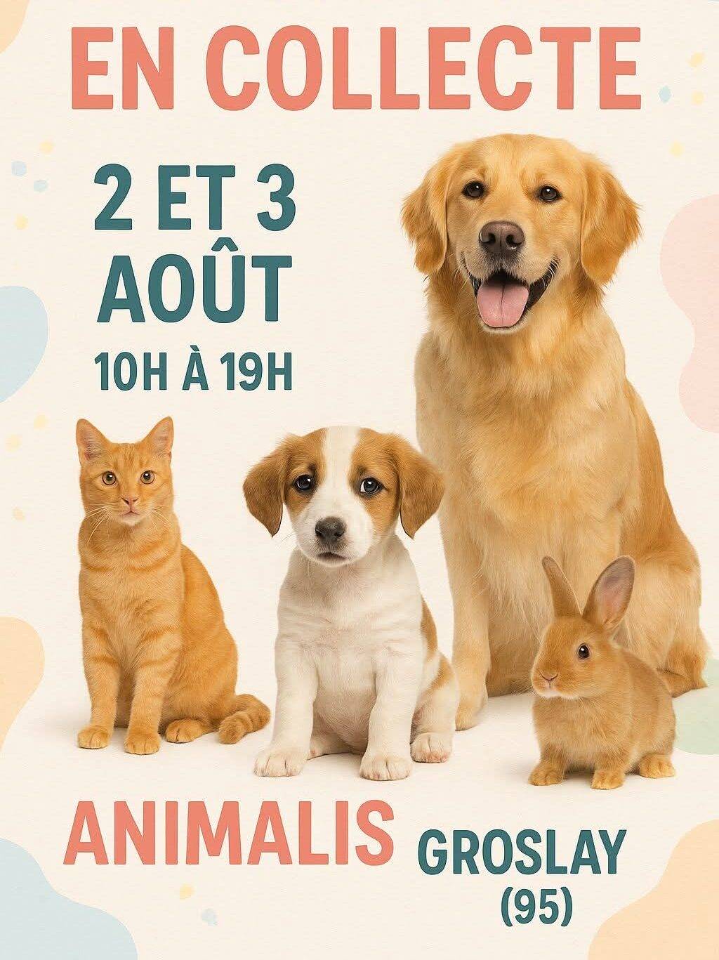 Lire la suite à propos de l’article Collecte alimentaire Animalis (Groslay) Aout 2025