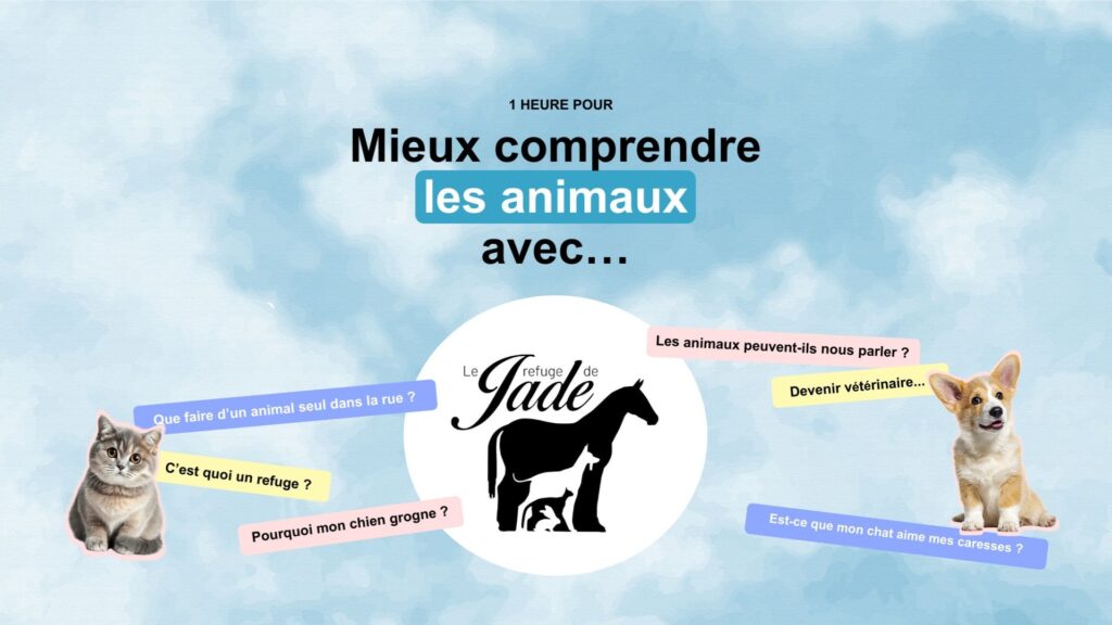 Sensibilisation dans les écoles