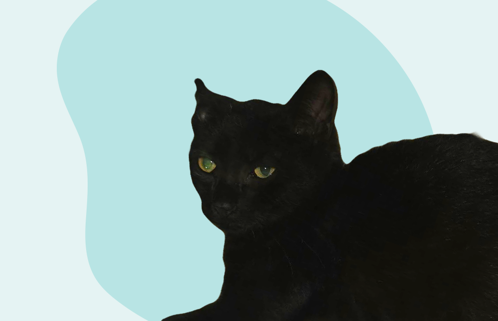 Pixel